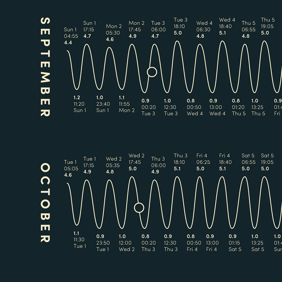 Design Your Own Custom Tide Poster – Tidelines