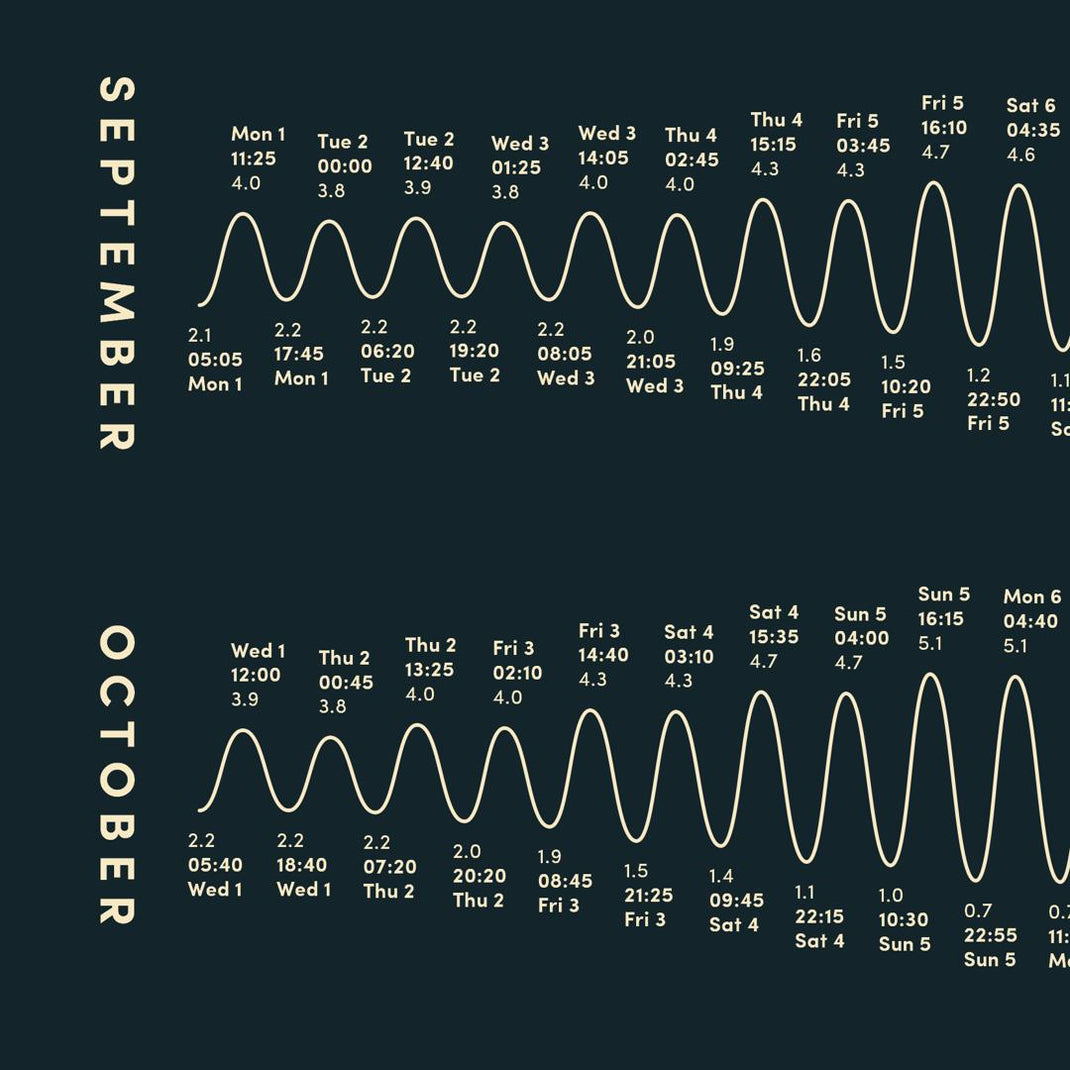 Tideflex Chart Design Your Own Custom Tide Poster – Tidelines